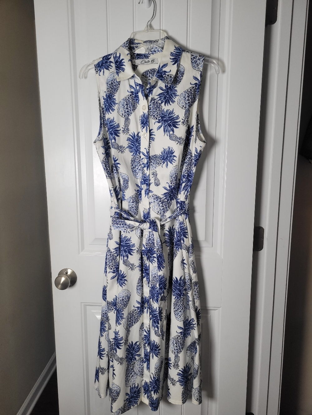 Sleeveless Blue Pineapple Print Shirt Dress by Chetta B.  Size 14